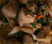 Goat Meat Peppersoup
